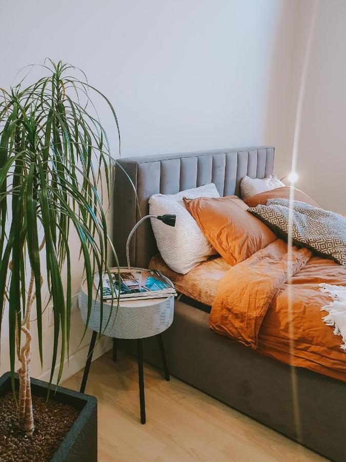 Priestranny Apartman V Centre Кошице Екстериор снимка